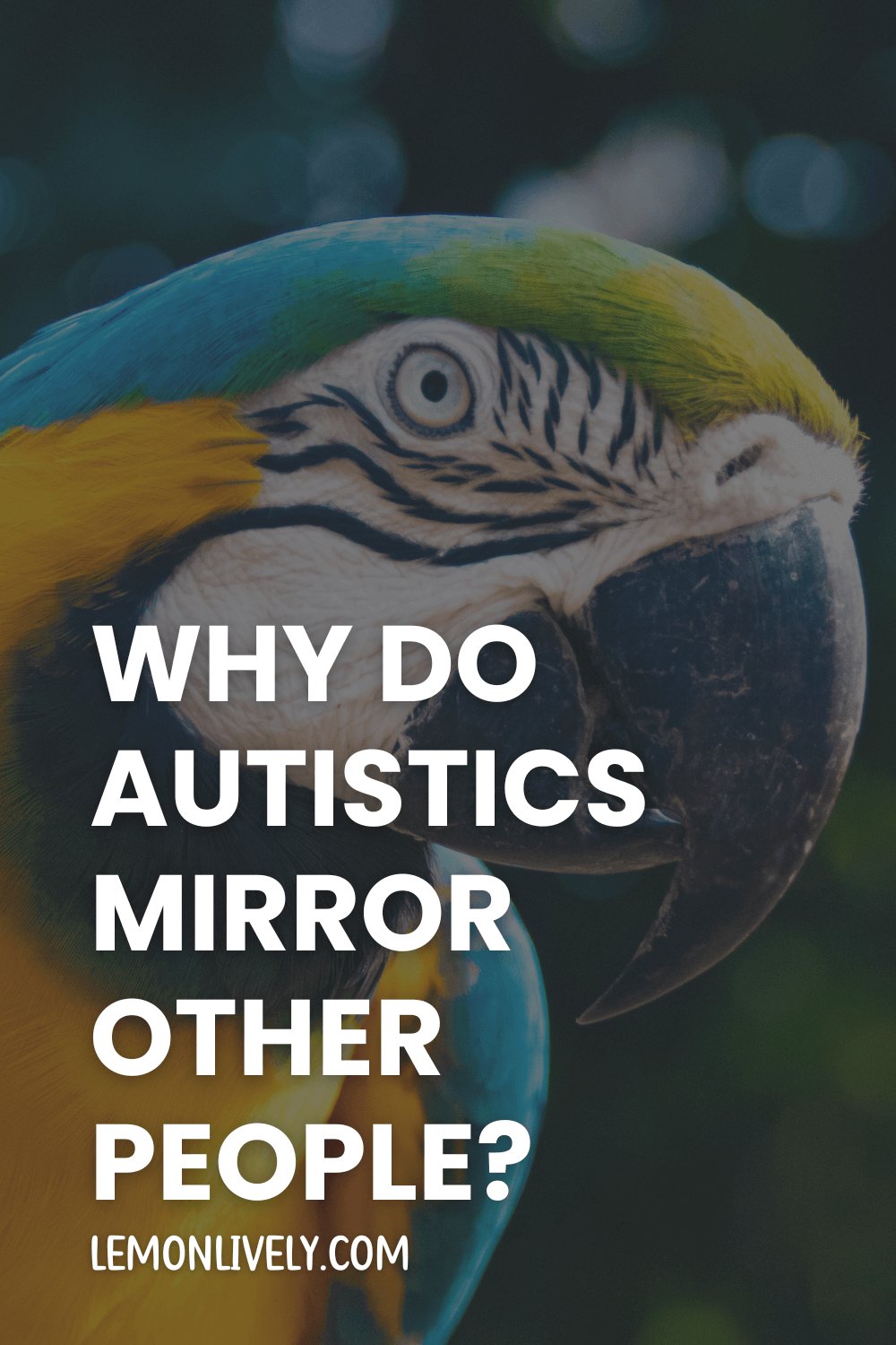 "why do autistics mirror other people?" in white caps, turquoise, green, orange-gold parrot with white face with black lines in background